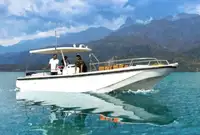 ခရီးသည်တင်သင်္ဘော ရောင်းချရန်အတွက်