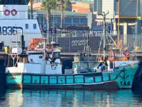 Purse seiner ရောင်းရန်