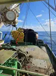 Purse seiner ရောင်းရန်