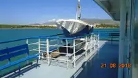 Ro-Ro ship ရောင်းရန်