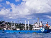 ရေခဲသိုလှောင်သင်္ဘော ရောင်းချရန်အတွက်