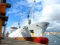 Reefer သင်္ဘော ရောင်းရန်