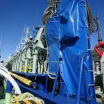 Purse seiner ရောင်းရန်