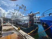 ထရော်လာသင်္ဘော ရောင်းချရန်အတွက်