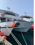 Catamaran ရောင်းရန်