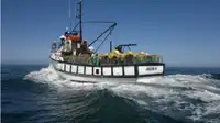 Trawler ရောင်းရန်