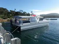 Catamaran ရောင်းရန်