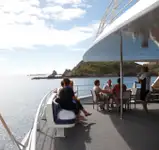 Catamaran ရောင်းရန်