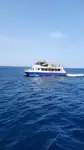 Catamaran ရောင်းရန်