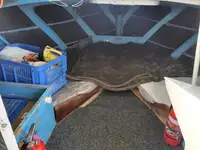ထရော်လာသင်္ဘော ရောင်းချရန်အတွက်