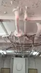 တွန်းသင်္ပယ် ရောင်းချရန်အတွက်