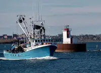Purse seiner ရောင်းရန်