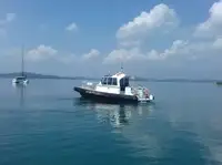 သင်္ဘောသား ရောင်းရန်