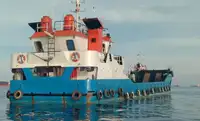 Landing Craft, Tank ရောင်းချရန်အတွက်