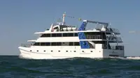 Catamaran ရောင်းရန်