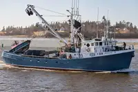 Purse seiner ရောင်းရန်