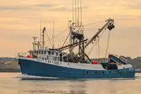 Purse seiner ရောင်းရန်