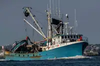 Purse seiner ရောင်းရန်