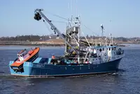 Purse seiner ရောင်းရန်