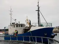 Trawler ရောင်းရန်