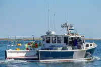 Purse seiner ရောင်းရန်