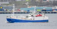 Purse seiner ရောင်းရန်