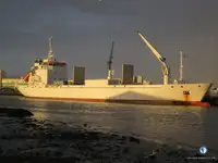 Reefer သင်္ဘော ရောင်းရန်