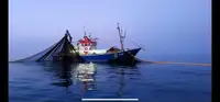 Trawler ရောင်းရန်