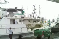 Longliner ရောင်းရန်