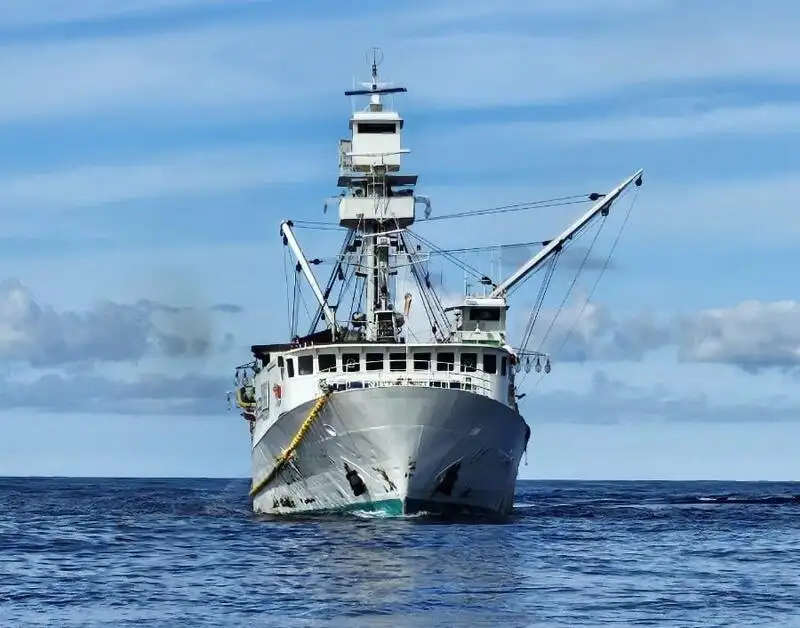 Seiner ရောင်းရန်