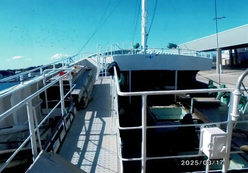 တံငါငါးဖမ်း ရောင်းရန်