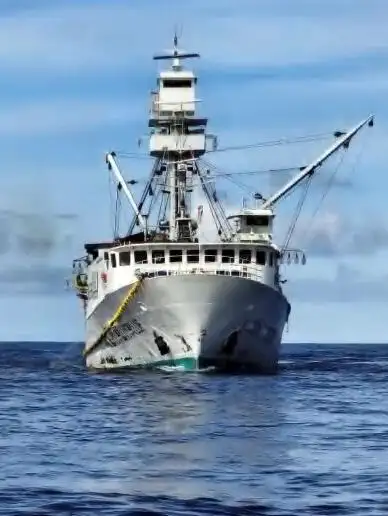 Seiner ရောင်းရန်