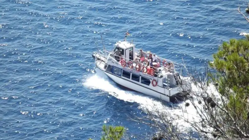 ငုပ်ထောက် ရောင်းရန်