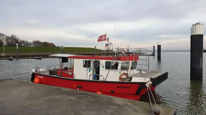 Catamaran ရောင်းရန်