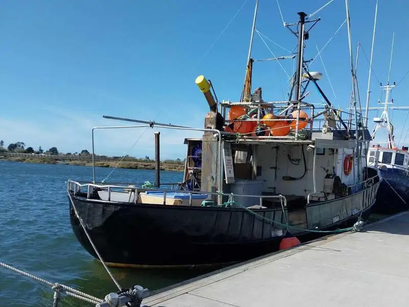 ရှည်လျားသောရေယာဉ် ရောင်းရန်