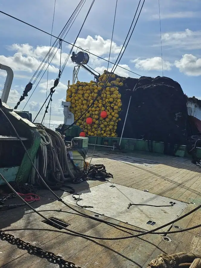 Seiner ရောင်းရန်