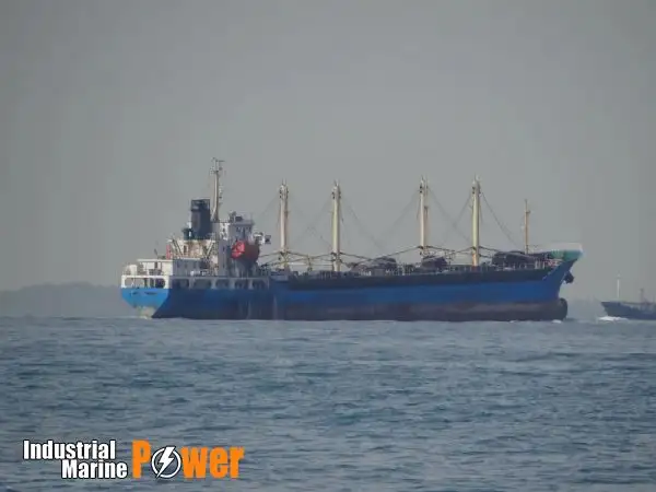 အစုလိုက် သယ်ဆောင်သည်။ ရောင်းရန်