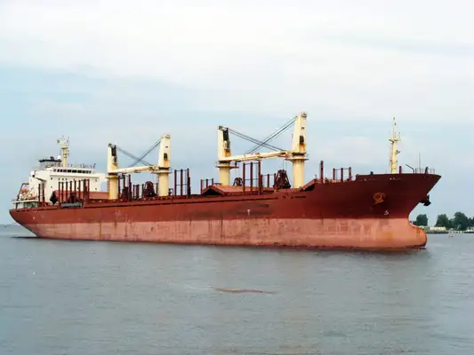 Bulk carrier for sale