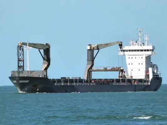 Bulk carrier for sale