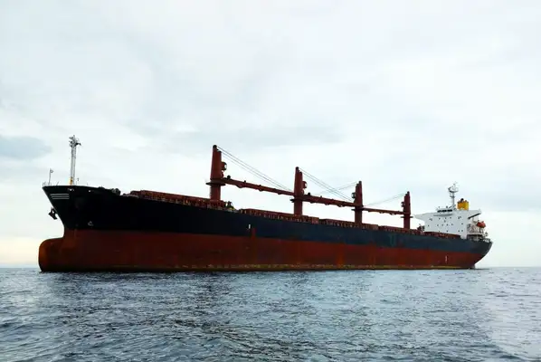 Bulk carrier for sale