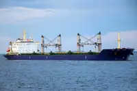 အစုလိုက် သယ်ဆောင်သည်။ ရောင်းရန်