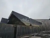 ဗော ရောင်းရန်