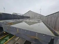 ဗော ရောင်းရန်