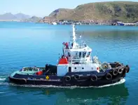 အစုလိုက် သယ်ဆောင်သည်။ ရောင်းရန်