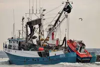 Seiner ရောင်းရန်