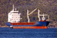 အစုလိုက် သယ်ဆောင်သည်။ ရောင်းရန်