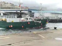 တံငါငါးဖမ်း ရောင်းရန်