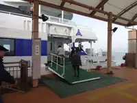 Catamaran ရောင်းရန်