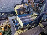 သတ္တုအပိုင်းအစ ရောင်းရန်