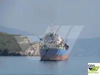 အစုလိုက် သယ်ဆောင်သည်။ ရောင်းရန်